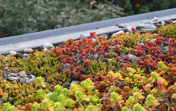 the cost of Kelbrook green roof installation