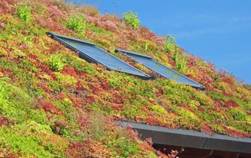 Kelbrook living roof systems